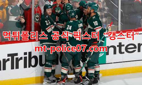 미네소타 와일드 7
