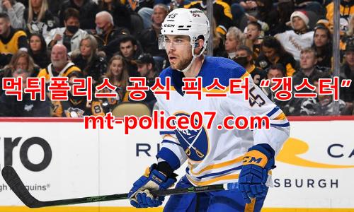 버팔로 세이버스 7