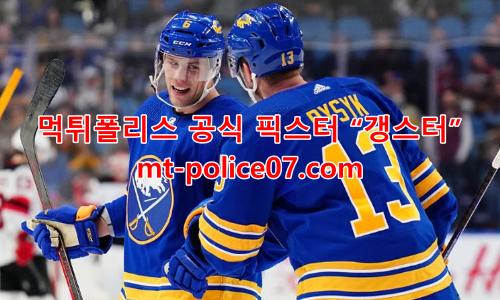 버팔로 세이버스 7