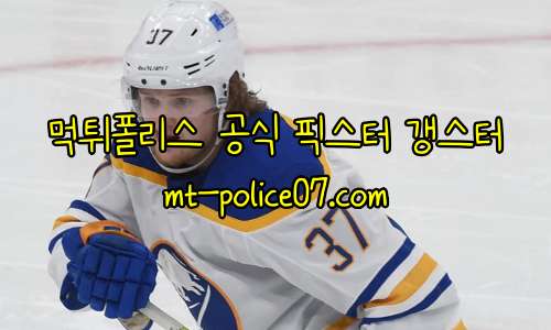 버팔로 세이버스 7