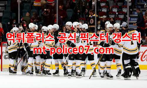 보스턴 브루인스 7