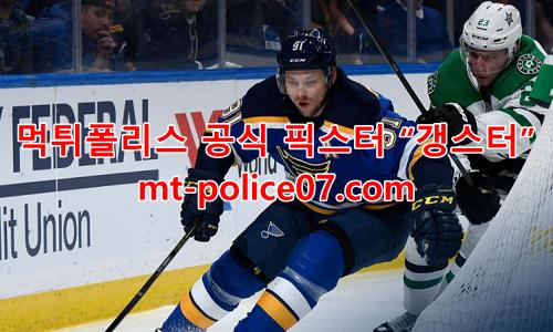 세인트루이스 블루스 7