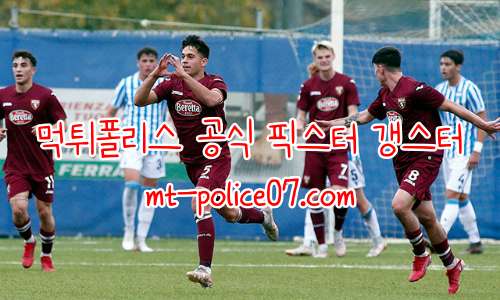 토리노 7