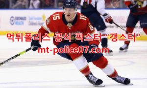 플로리다 팬서스 7