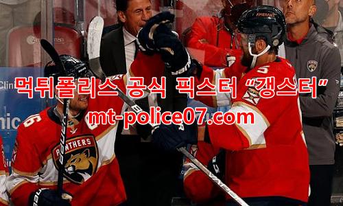 플로리다 팬서스 7