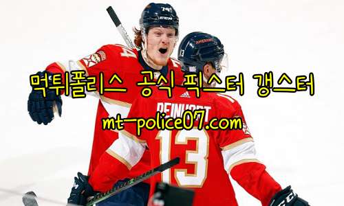 플로리다 팬서스 7