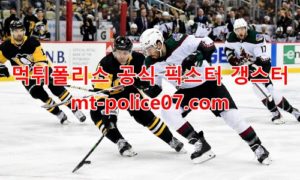 1월29일 NHL 애리조나 보스턴 분석 먹폴 갱스터 1월29일 NHL 애리조나 보스턴 분석 먹폴 갱스터