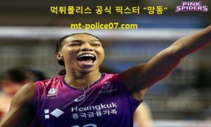 1월 15일 V리그 분석 흥국생명 vs IBK기업은행 먹폴 픽스터 망동 1월 15일 V리그 분석 흥국생명 vs IBK기업은행 먹폴 픽스터 망동