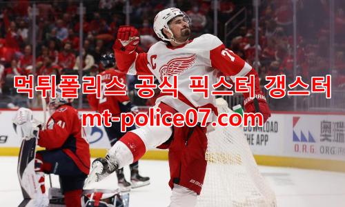 디트로이트 레드윙스 7