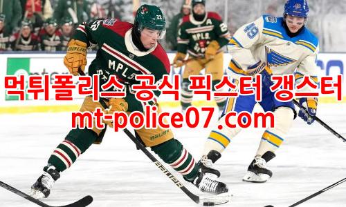 미네소타 와일드 7