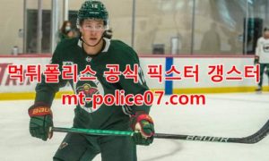 미네소타 와일드 7