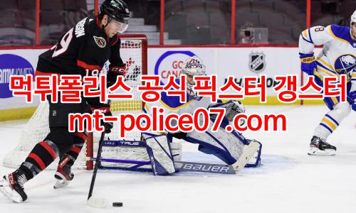 버펄로 세이버스 7