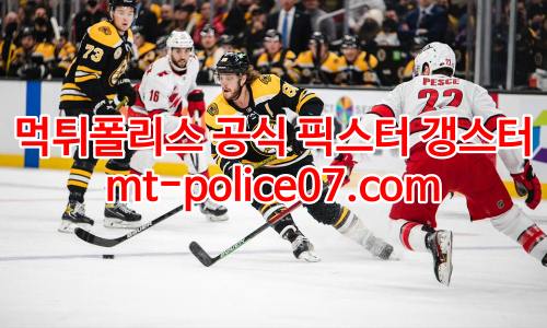 보스턴 브루인스 7