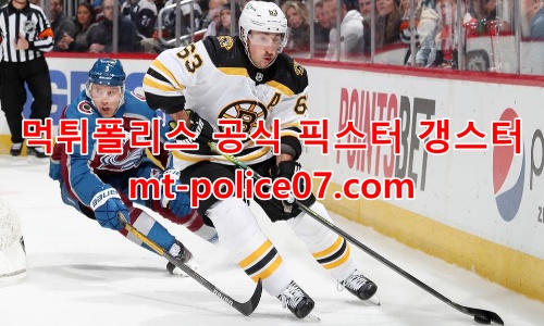 보스턴 브루인스 7