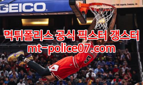 시카고 불스 7