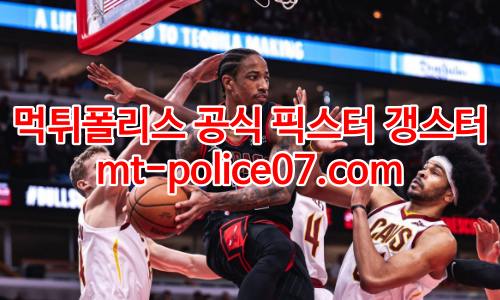 시카고 불스 7