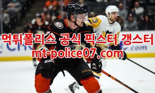 애너하임 덕스 7