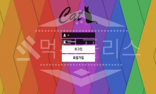 캣 신규