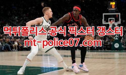 토론토 랩터스 7