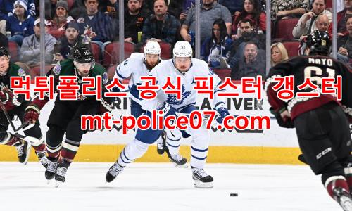 토론토 메이플리프스 7
