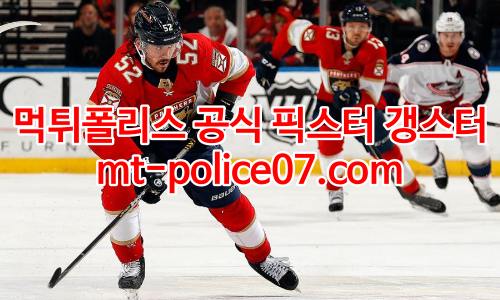 플로리다 팬서스 7