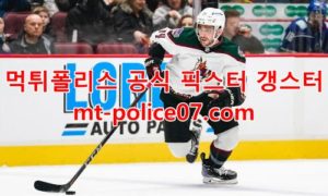 2월12일 NHL 애리조나 탬파베이 분석 먹폴 갱스터 2월12일 NHL 애리조나 탬파베이 분석 먹폴 갱스터