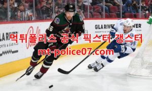 2월20일 NHL 애리조나 LA킹스 분석 먹폴 갱스터 2월20일 NHL 애리조나 LA킹스 분석 먹폴 갱스터