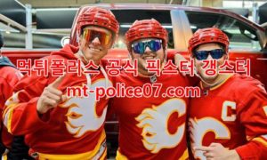 2월20일 NHL 캘거리 시애틀 분석 먹폴 갱스터 2월20일 NHL 캘거리 시애틀 분석 먹폴 갱스터