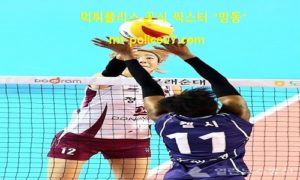 2월 21일 V리그 분석 KGC인삼공사 vs 한국도로공사 먹폴 픽스터 망동 2월 21일 V리그 분석 KGC인삼공사 vs 한국도로공사 먹폴 픽스터 망동