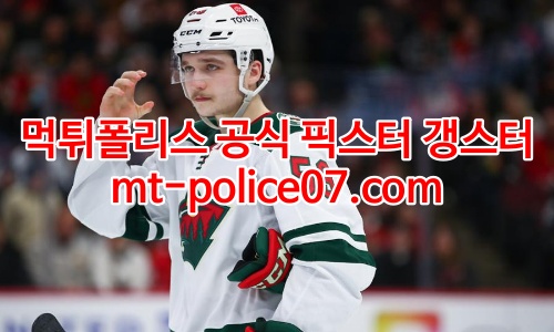미네소타 와일드 7