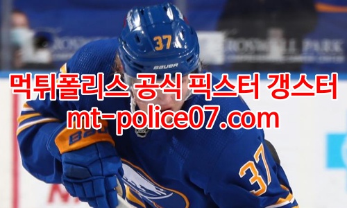 버펄로 세이버스 7