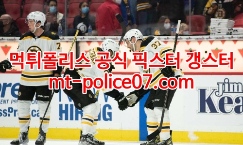 보스턴 브루인스 7