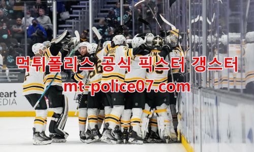 보스턴 브루인스 7