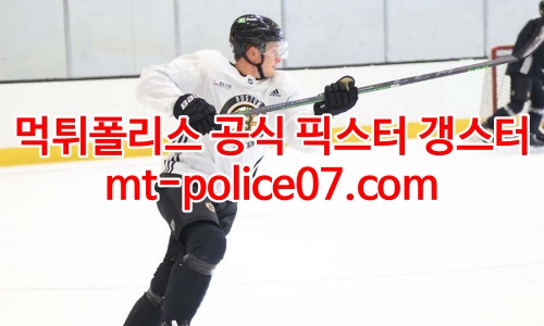 보스턴 브루인스 7