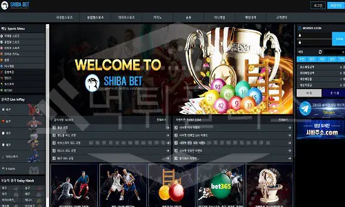 시바벳 신규사이트 먹튀폴리스에서 토토사이트 스포츠토토 먹튀검증중