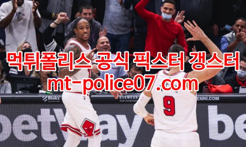 시카고 불스 7