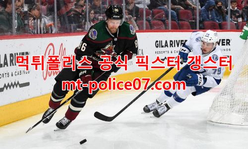 애리조나 코요테스 7