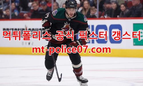 애리조나 코요테스 7