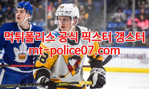 피츠버그 펭귄스 7