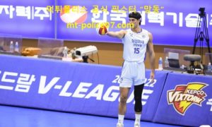 3월 5일 V리그 분석 삼성화재 vs 대한항공 먹폴 픽스터 망동