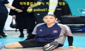 3월 5일 V리그 분석 한국도로공사 vs 흥국생명 먹폴 픽스터 망동