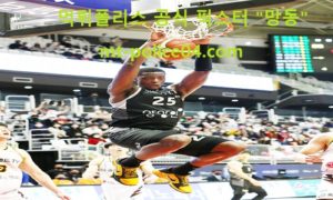 3월 30일 KBL 분석 수원KT vs 한국가스공사 먹폴 픽스터 망동