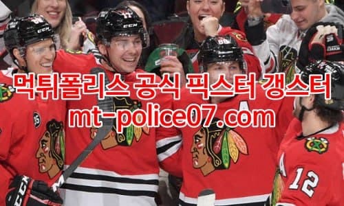 시카고 블랙호크스