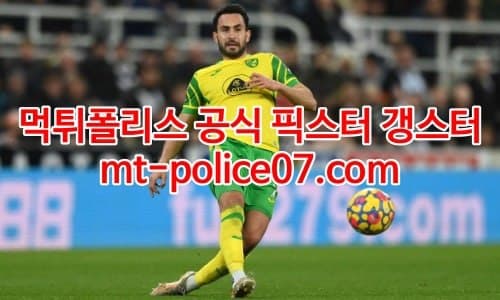 노리치 7