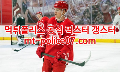 디트로이트 레드윙스 7