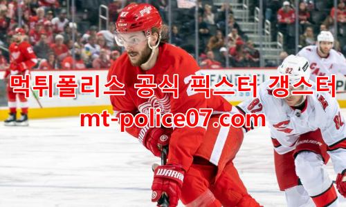 디트로이트 레드윙스 7