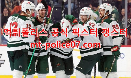 미네소타 와일드 7