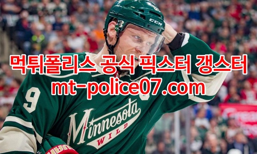미네소타 와일드 7