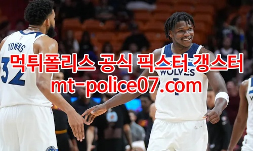 미네소타 팀버울브스 7