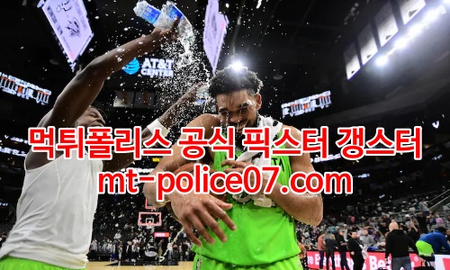 미네소타 팀버울브스 7